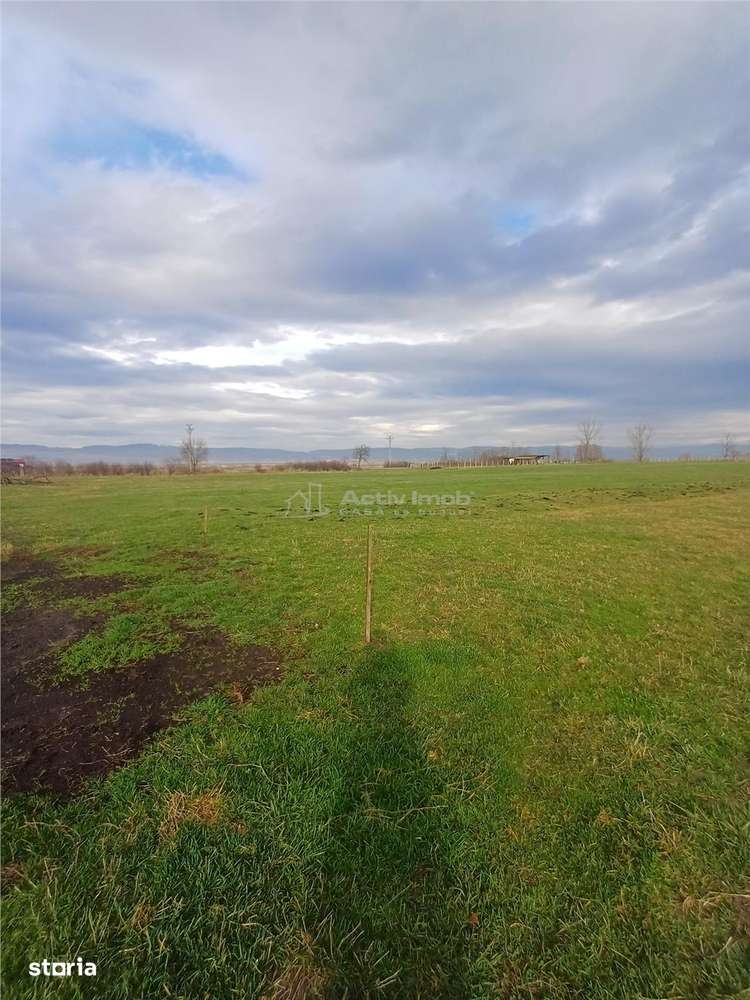 Teren de vanzare la iesire din Racovita-1