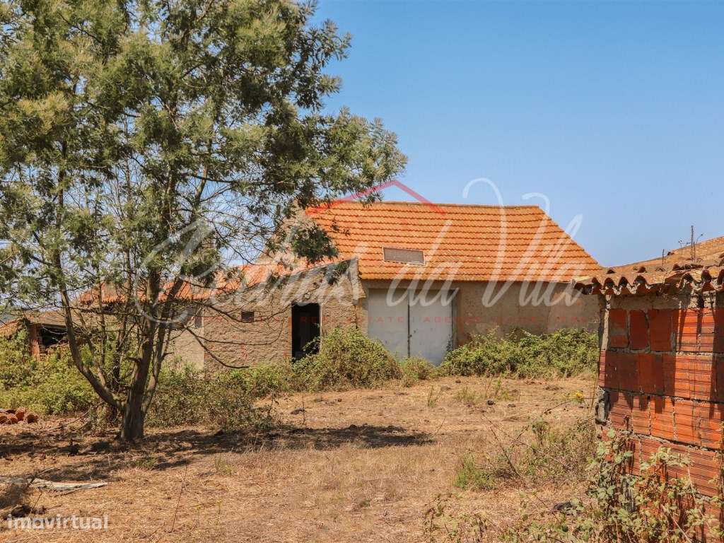 Quinta de 25ha com projeto aprovado - São Teotónio - Odemira-10