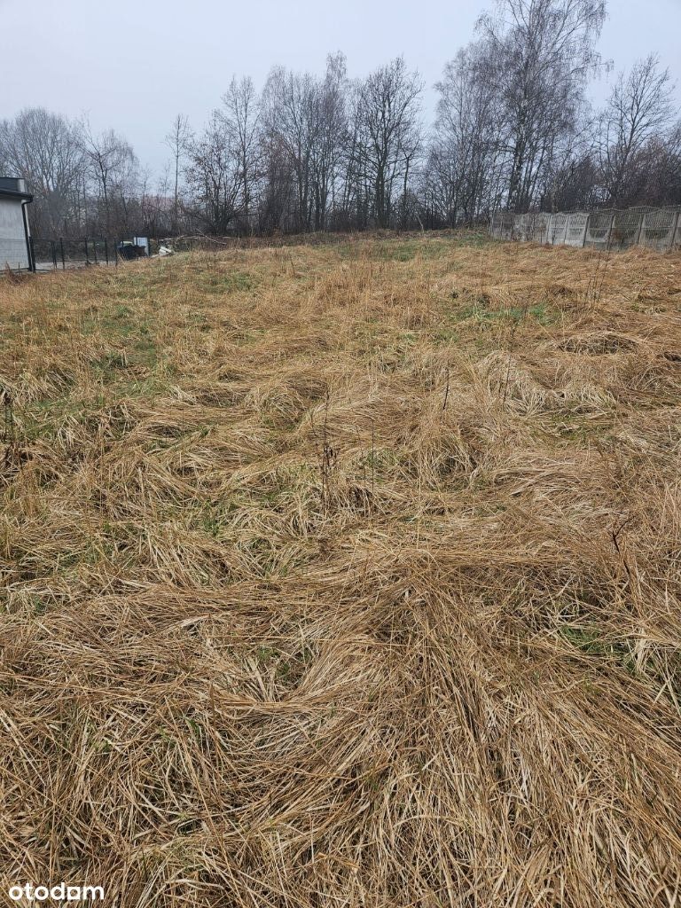 Działka budowlana z mediami bez pośredników