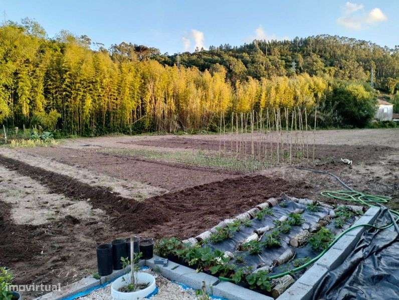 Terreno rústico próximo da cidade - Grande imagem: 5/10