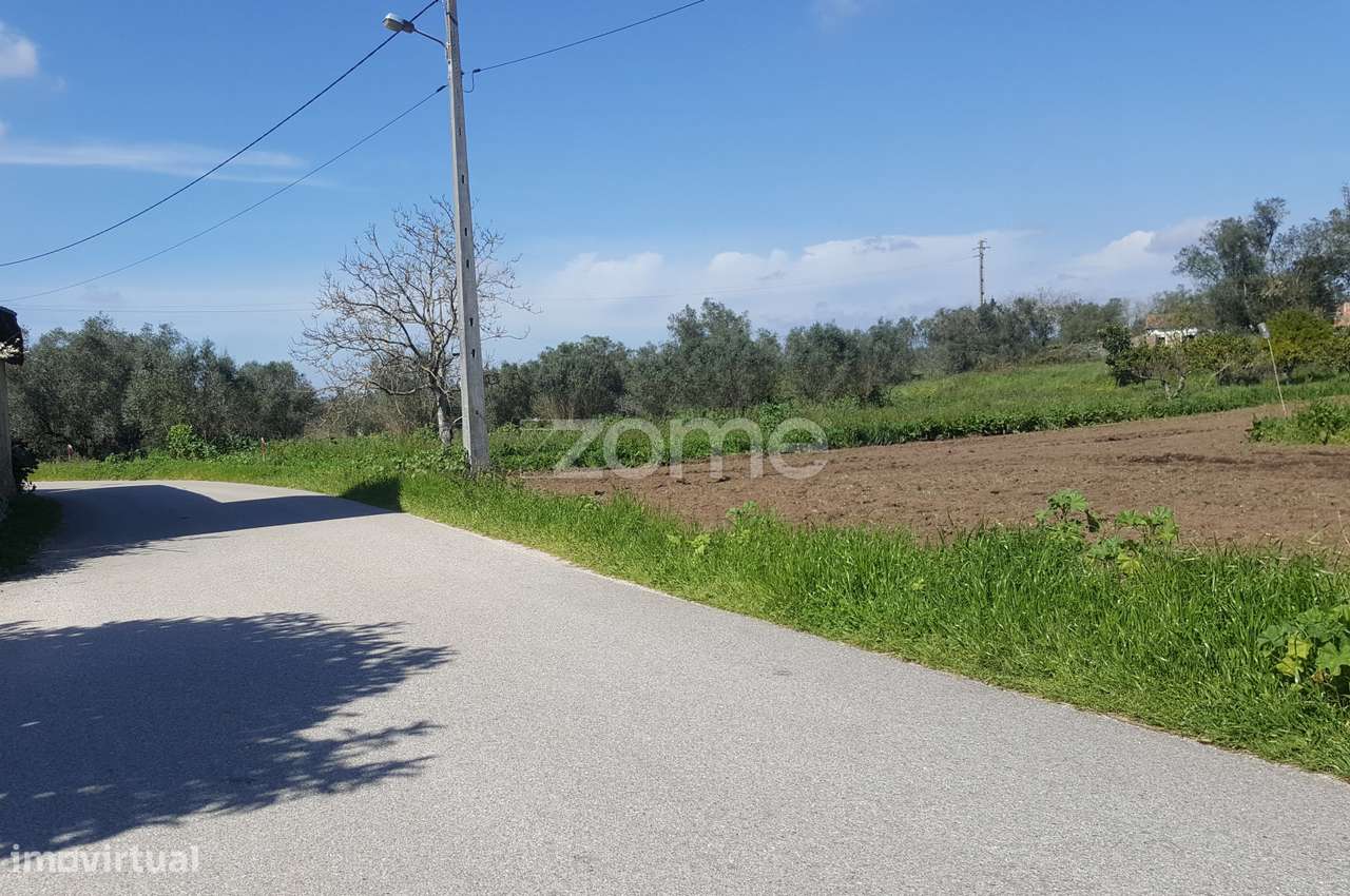 Terreno urbanizável em Milagres - Grande imagem: 2/17