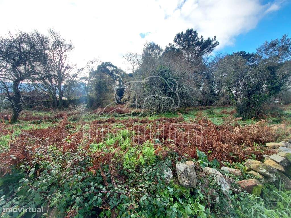TERRENO - Afife, Viana do Castelo - Grande imagem: 4/6