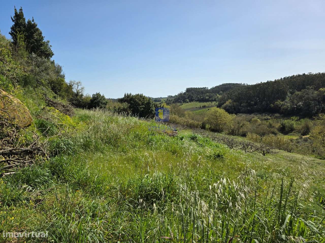 Quintinha com 12.484m2 de Terreno e 260m2 de área bruta. Possibilidad-24