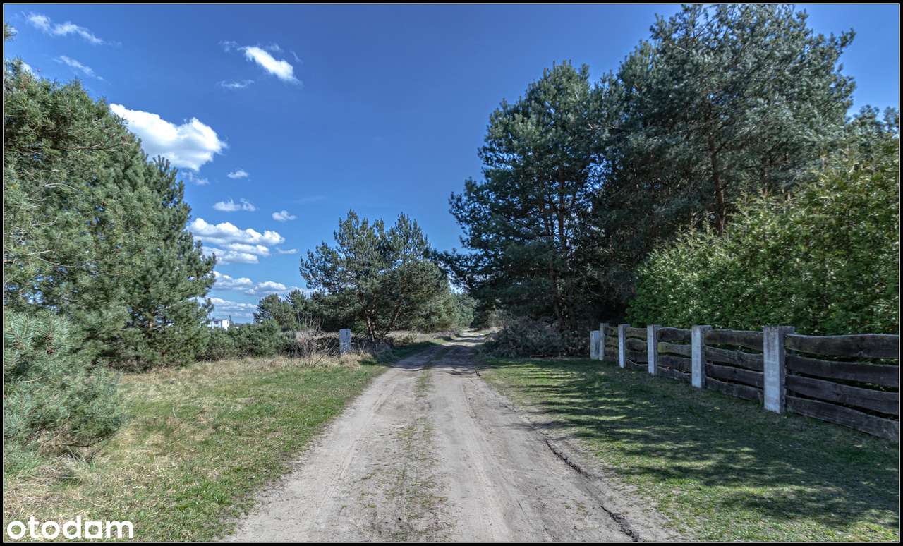 Ogrodzona działka rolna w Bednarach – inwestycja w ciszę i przestrzeń-12