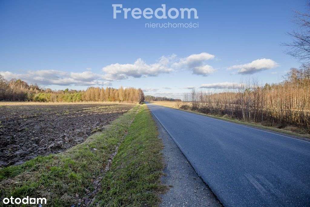Działka 39,75 ar przy drodze i lesie– Giedlarowa - Pełny obrazek: 3/10