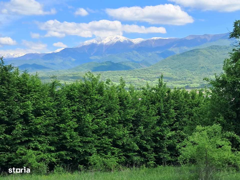 Teren de vanzare in Vii,  Podul Olt-3