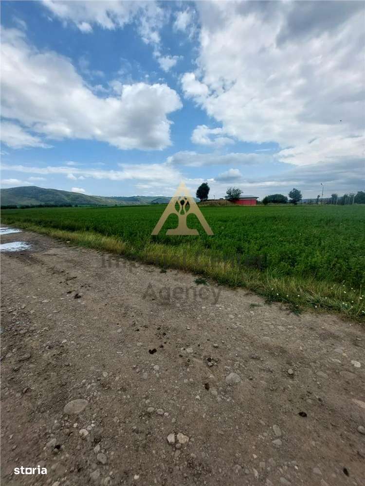 Teren intravilan de vanzare in Tg Trotus - Imagine principală: 5/8
