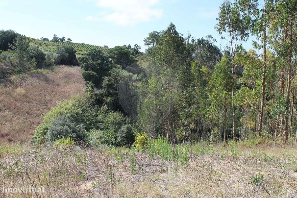 Terreno  para venda - Grande imagem: 3/9