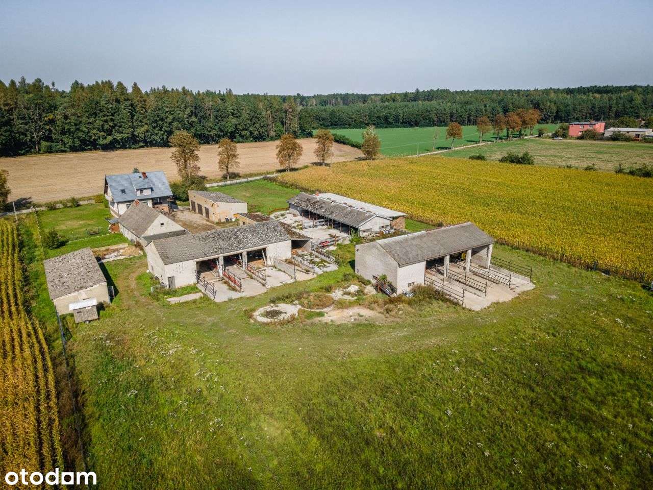 siedlisko wiejskie-16