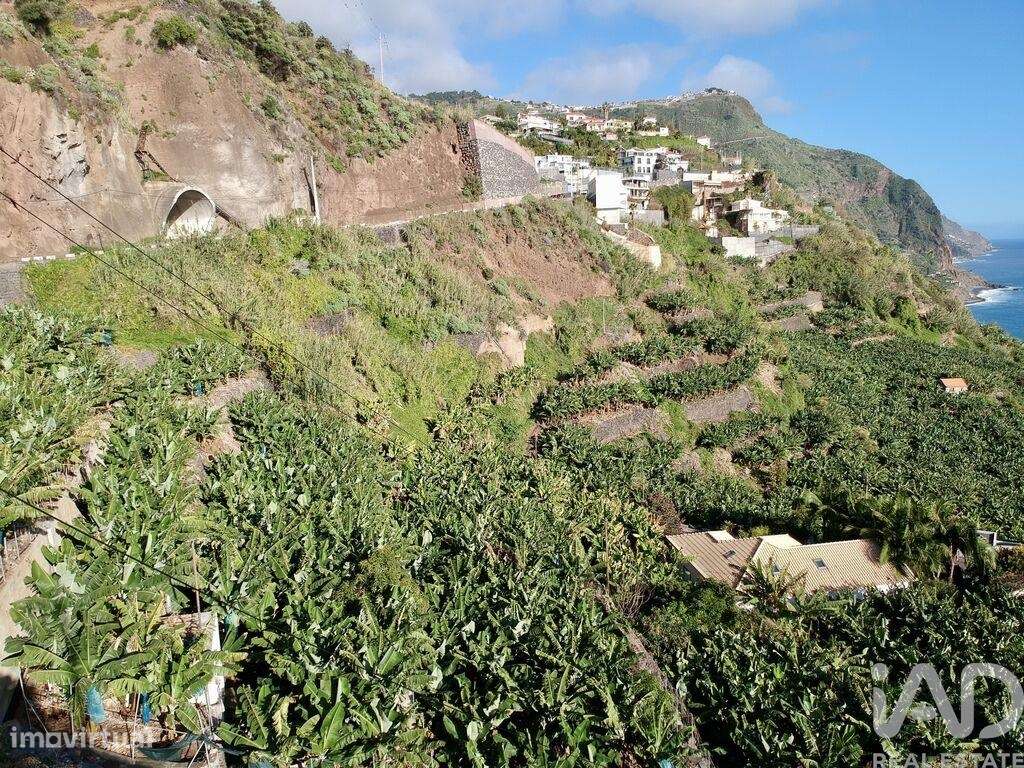 Terreno em Arco da Calheta de 2295,00 m2 - Grande imagem: 4/7