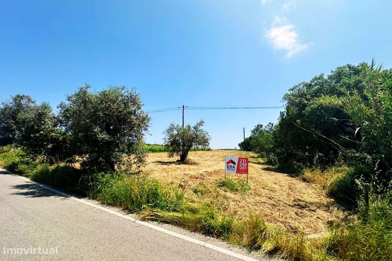 Terreno com viabilidade de construção em São Lourenço do Bairro-8