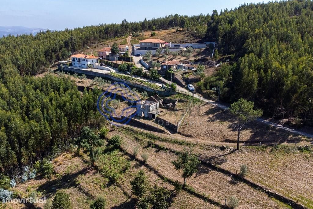 Quinta T3 com 2.635 m2 à venda em Castelo de Paiva