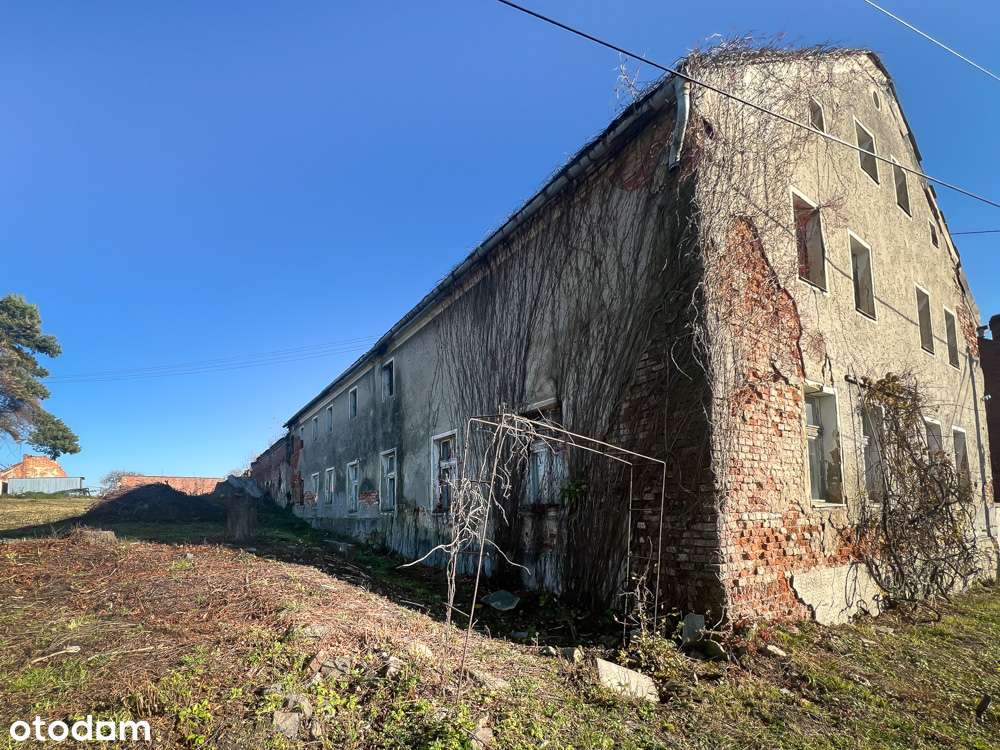 W CENIE DZIAŁKI! - Pełny obrazek: 4/6