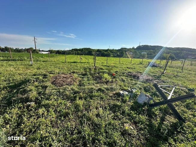 Teren Intravilan în Iclod – Refugiul Tău,Pregătit pentru Construcție-3