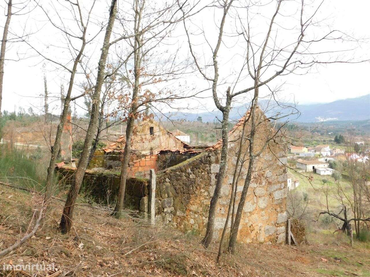 Terreno / Seia, Várzea de Meruge - Grande imagem: 4/4