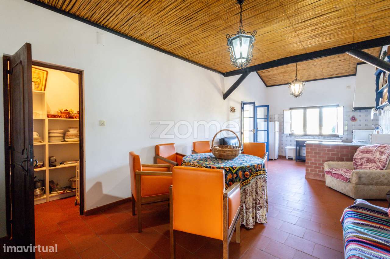 Monte Alentejano em Brinches (Serpa)-35