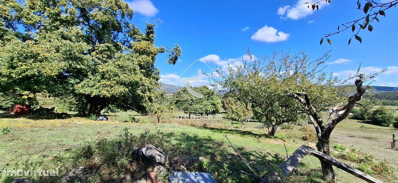 Quinta Agricola de 6Hect. c/casa T3 em Calvelo - Ponte de Lima-18