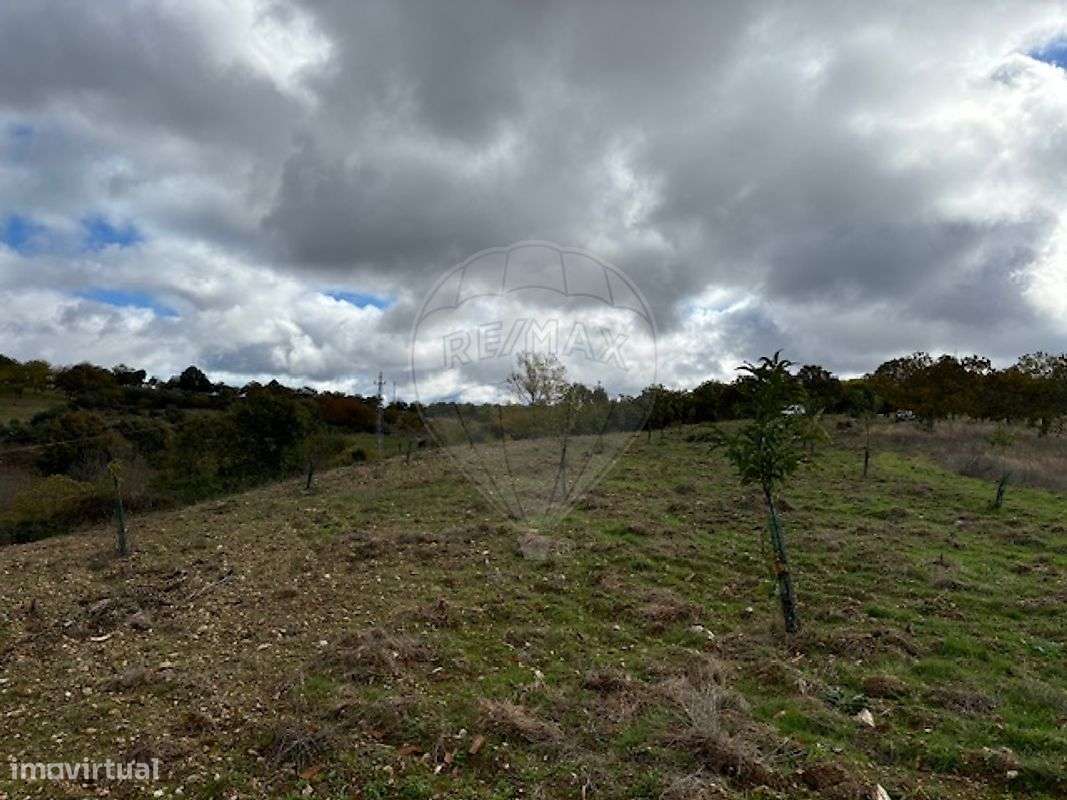 Terreno  para venda - Grande imagem: 5/6