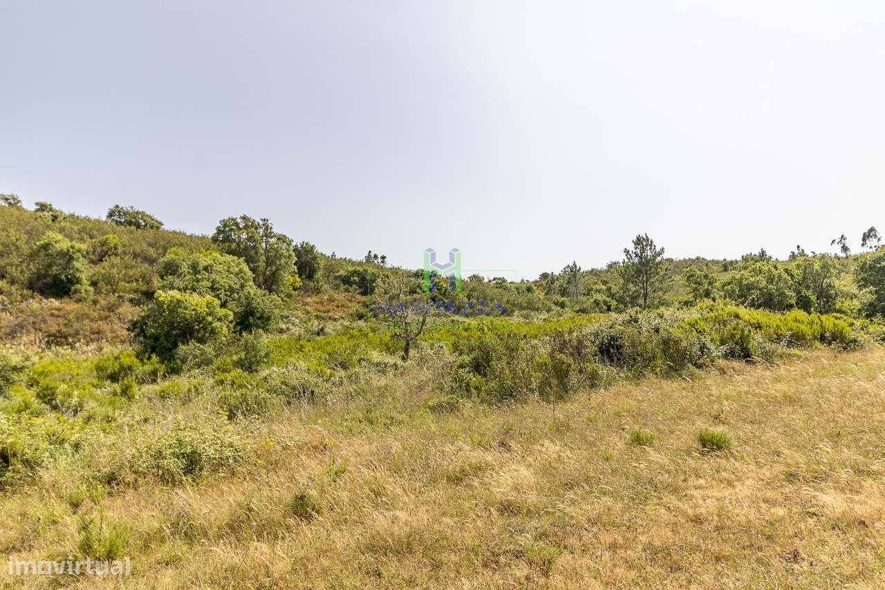 Terreno Rústico de 21.250 m2 na Bordeira - Aljezur - Grande imagem: 4/4