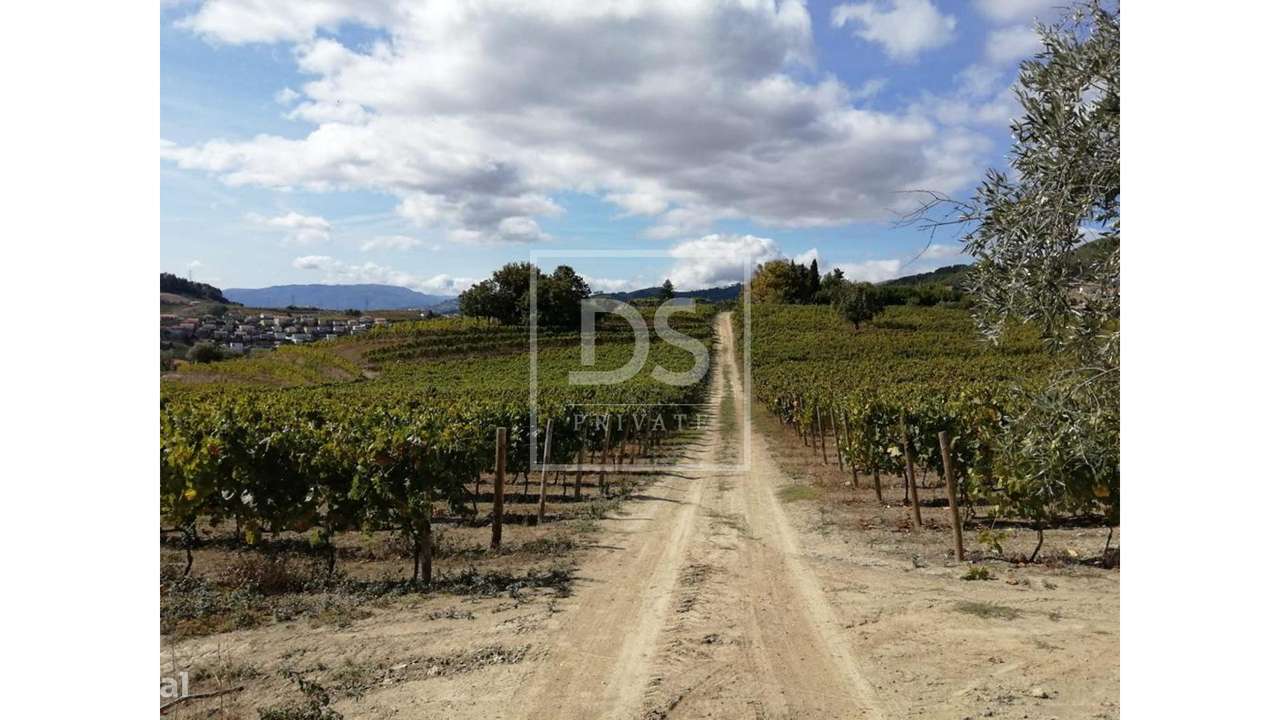 Quinta da Cumeira-16