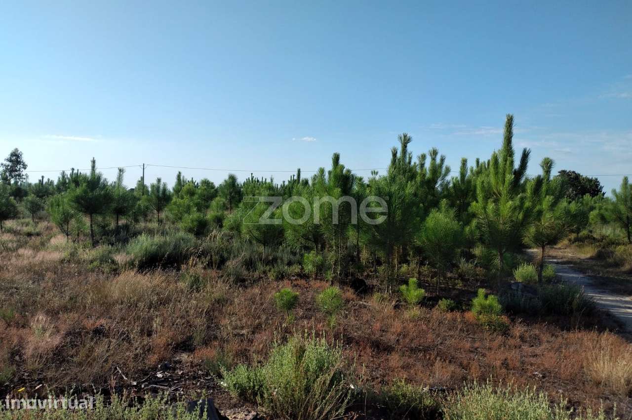 Terreno 1490m2 em Lagares - Coimbra - Grande imagem: 4/15
