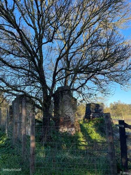 Terreno com ruina no meio do campo - Grande imagem: 4/4