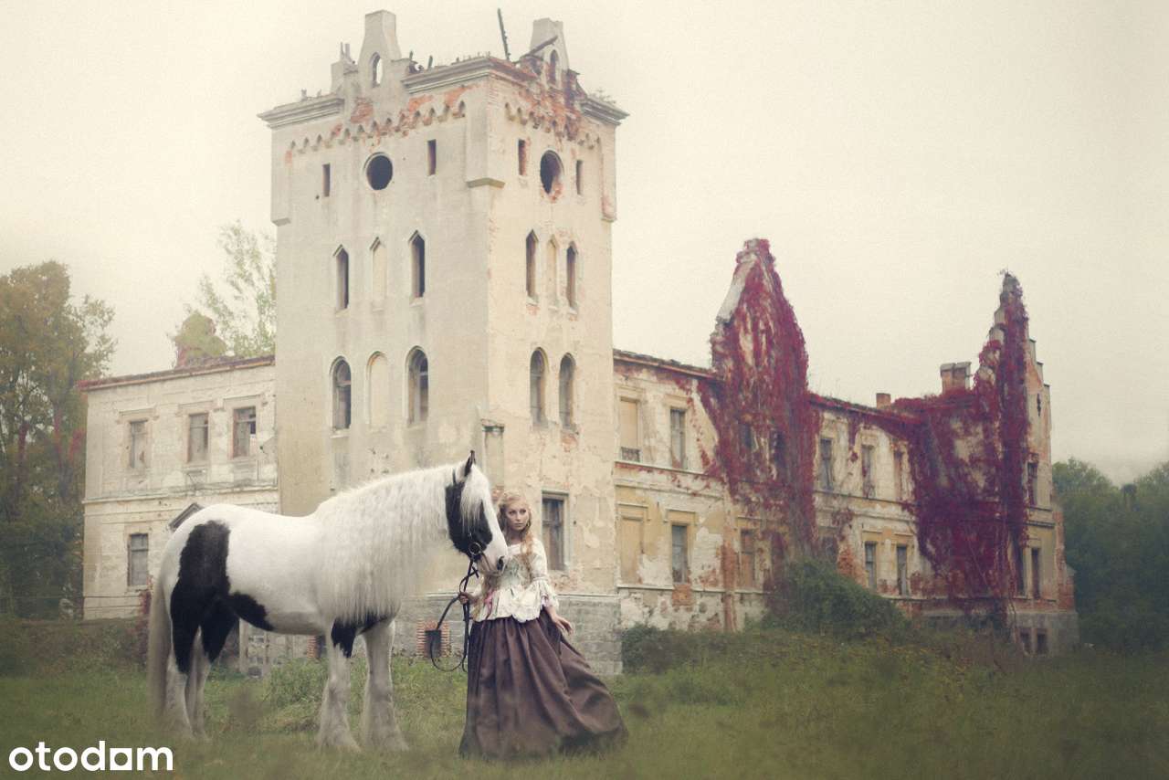 Pieknie połozona działka pod Wrocławiem w Dolinie Bystrzycy - Pełny obrazek: 5/13