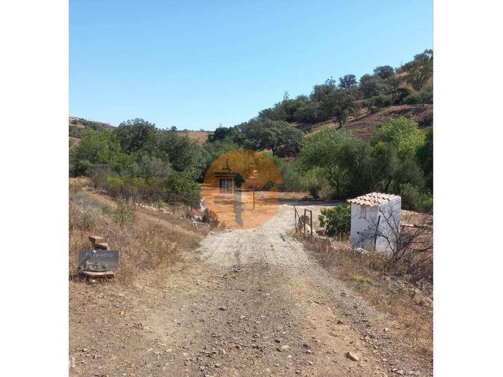 TERRENO RUSTICO COM 2.320 M2 - PLANO - ÁGUA - ELETRICIDADE - PISA B... - Grande imagem: 4/60