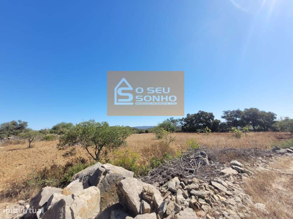 Terreno Rústico Plano - 4.980 M² - Grande imagem: 5/11