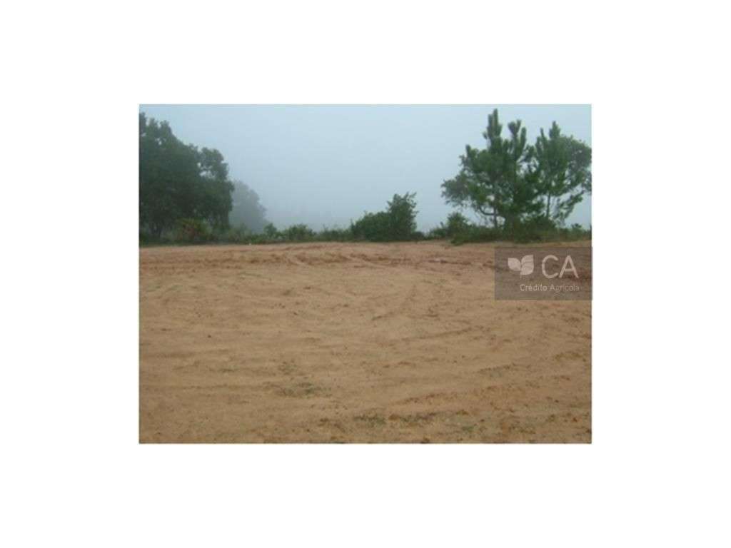 Prédio Rústico Urbanizável - Grande imagem: 2/4