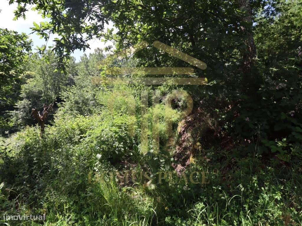 Terreno com 17.800 m², Casa para Reconstruir e mina de Água - Soalh...-18