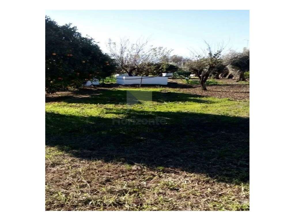 Terreno / Quinta para venda-5