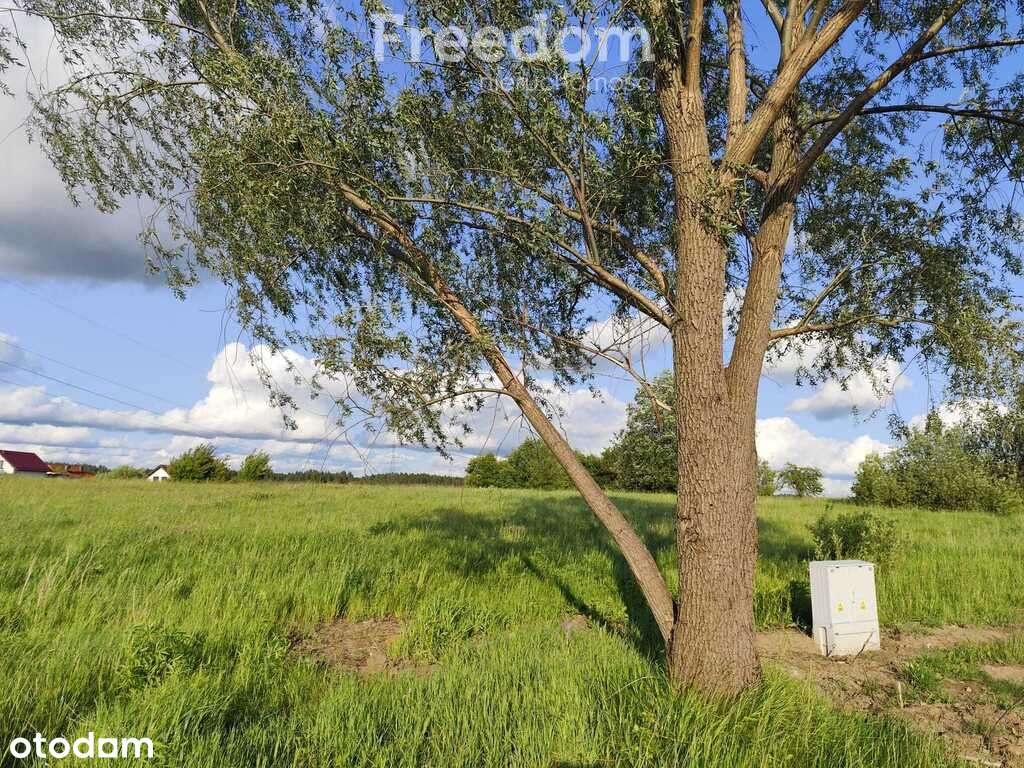 Działka budowlana w Wójtowie, 10 arów, niska cena - Pełny obrazek: 5/11