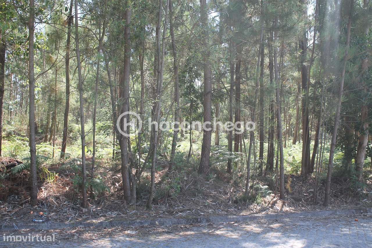 Terreno para Construção em Alvelos Barcelos-7