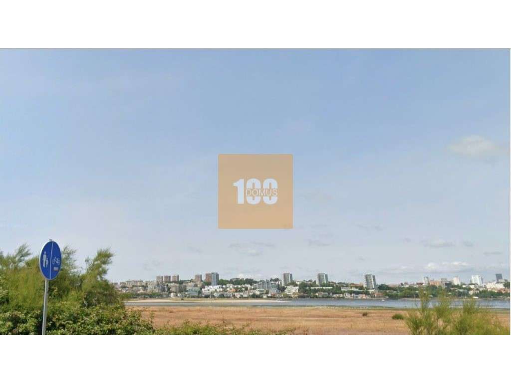 T1+1 novo em Canidelo, Gaia-19