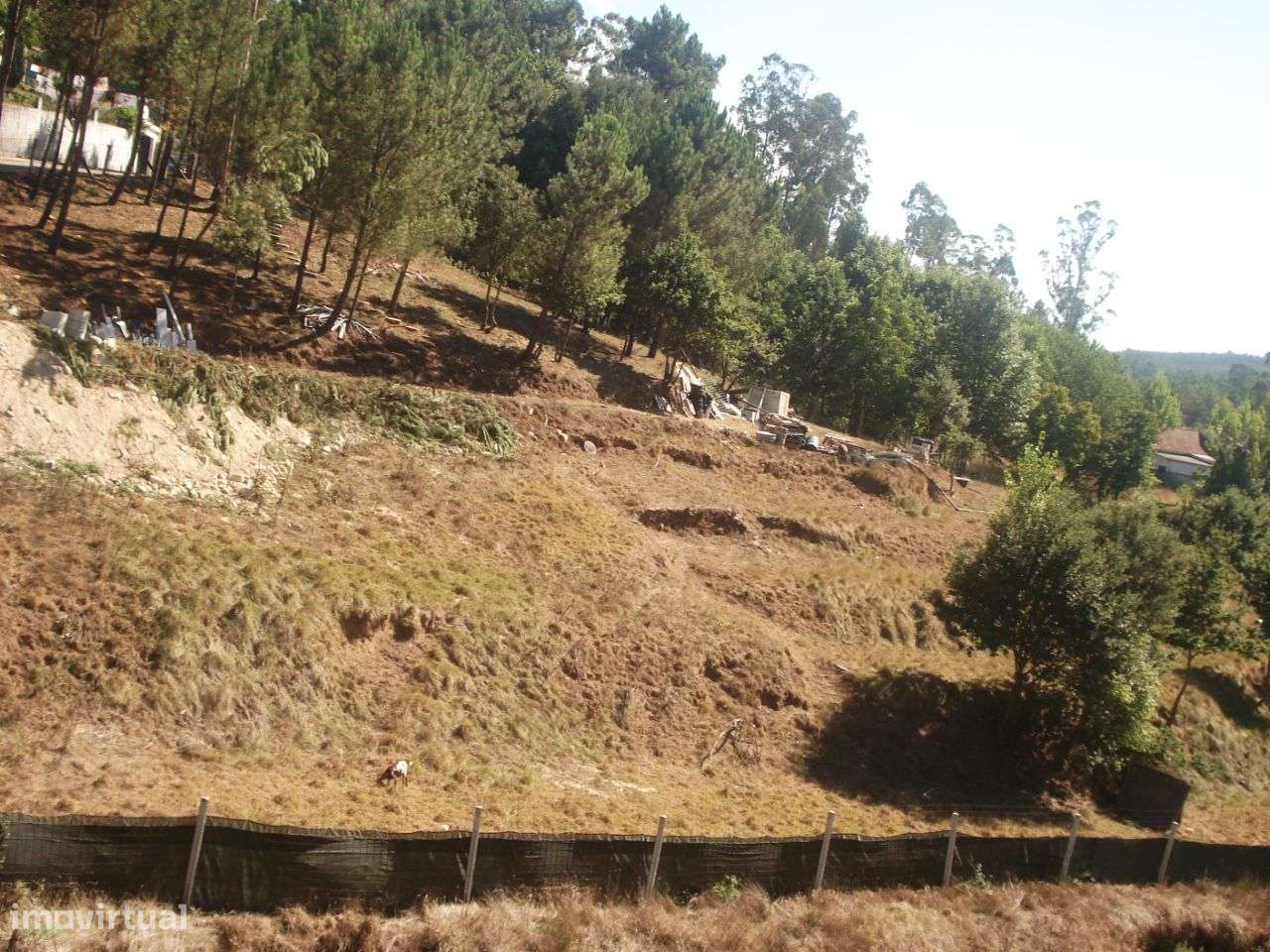Terreno com 5800 m2 em Pigeiros, Santa Maria da Feira - Grande imagem: 2/16