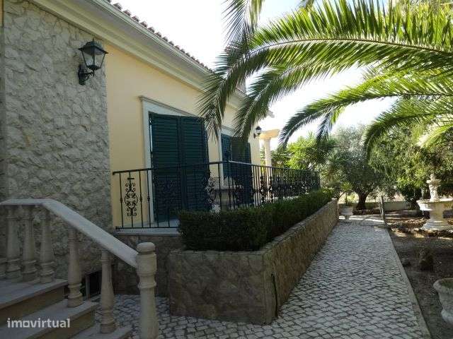 Quinta T/7 Cartaxo - Grande imagem: 4/60