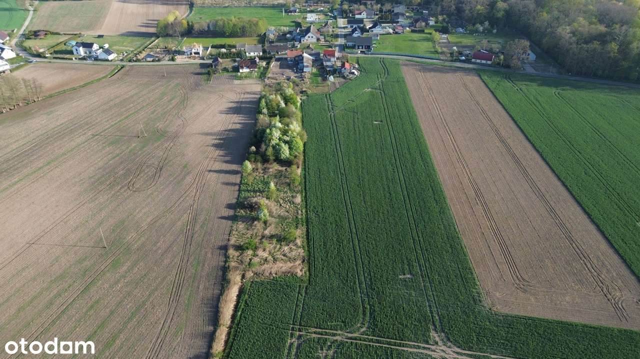 Dom z wyjątkowo dużą działką – 66,05 ar – Wziąchowo Małe -Milicz-3