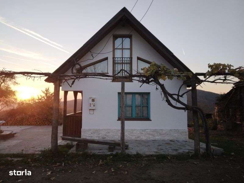Vand casuta de pe deal, in Dulcele, com. Gurahont, jud. Arad - Imagine principală: 4/8