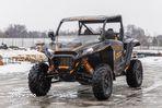 Polaris RZR - 19