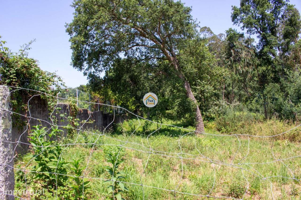 Terreno Agrícola com Potencial em Grijó – 8.509 m2 - Grande imagem: 4/10