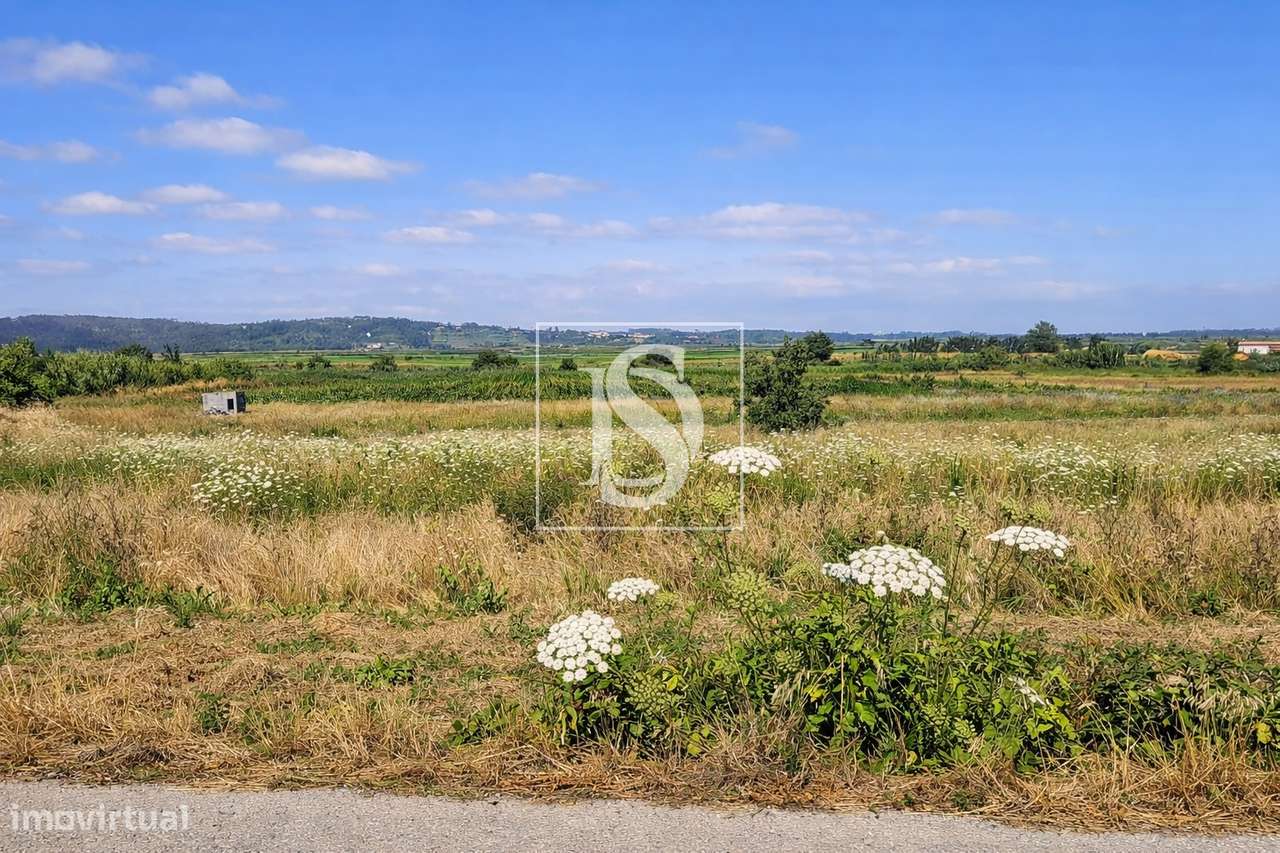 Terreno Para Construção  Venda em Alqueidão,Figueira da Foz-23