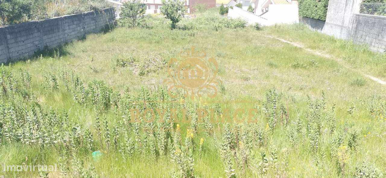 Terreno Junto à Nacional nº1 São João de Ver - Grande imagem: 2/4