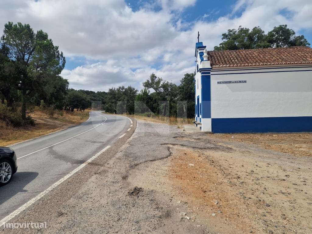 Terreno 14 HECTARES COM SOBREIROS E PINHEIROS-25