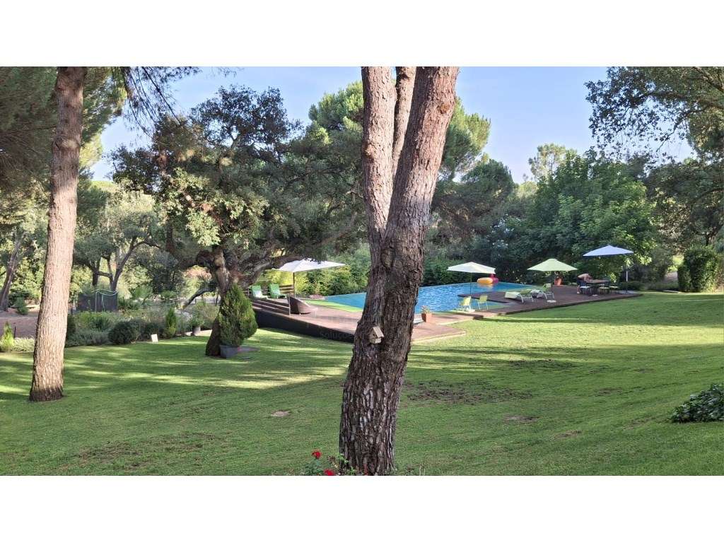 Luxuosa propriedade entre Grândola e Comporta, com 24 hectares - Grande imagem: 4/48