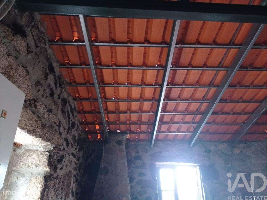 Terreno Agrícola em Sendim-18