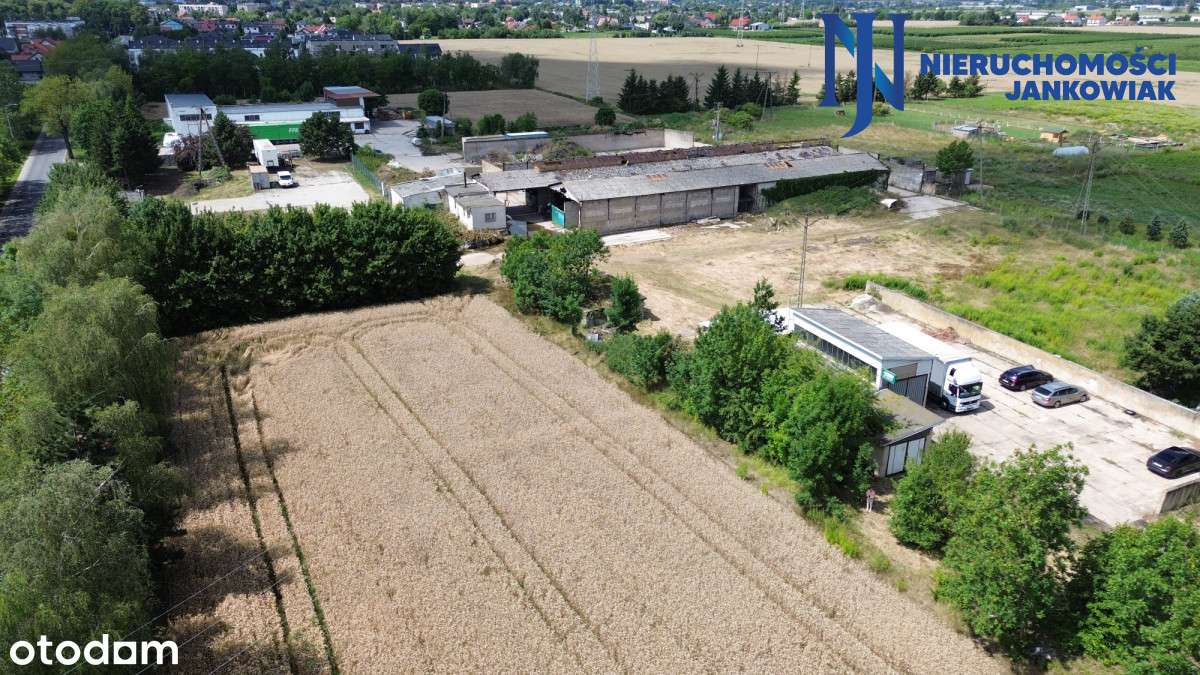 Działka inwestycyjna/Szamotuły – 45 km od Poznania - Pełny obrazek: 2/17