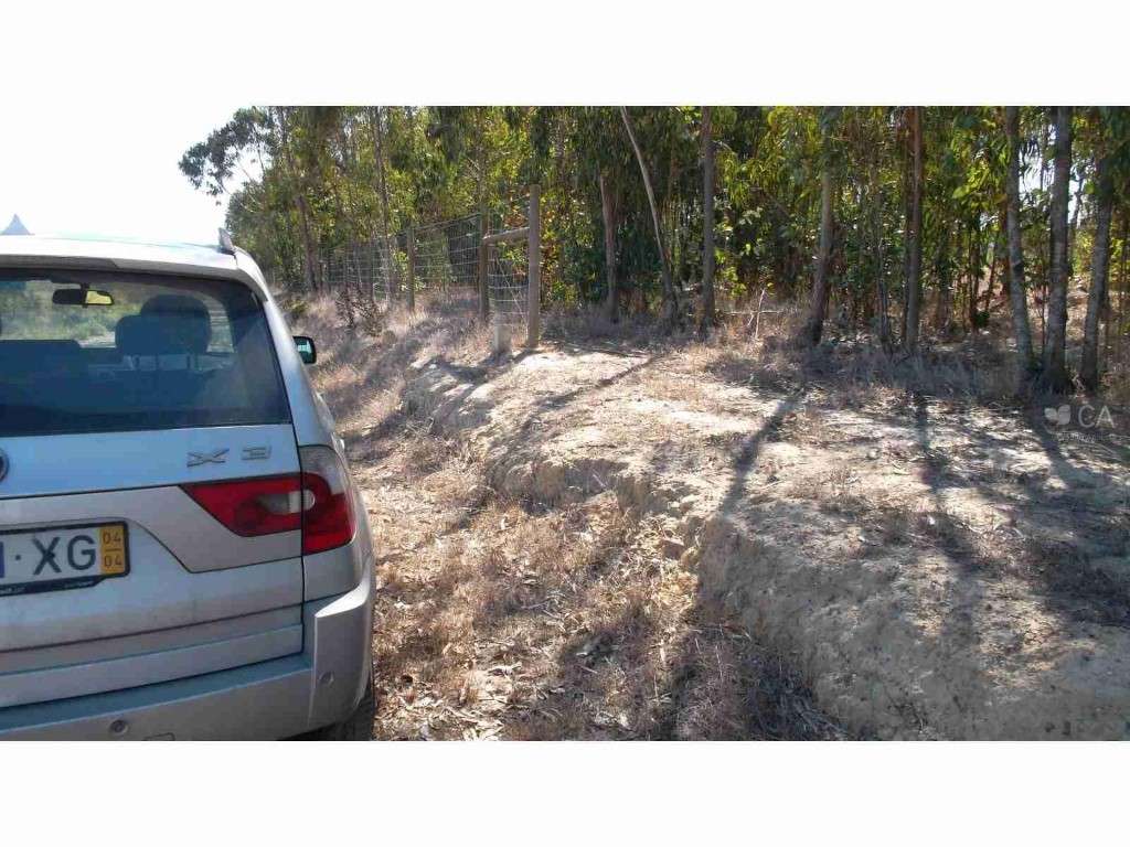 TERRENO (PROPRIEDADE)-CURRAIS E JOÃO FRIO DE BAIXO - Grande imagem: 2/12