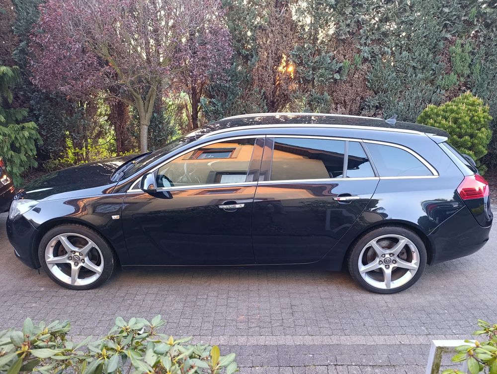 Opel Insignia A 2.0 CDTI ecoFLEX Business Cosmo 2010