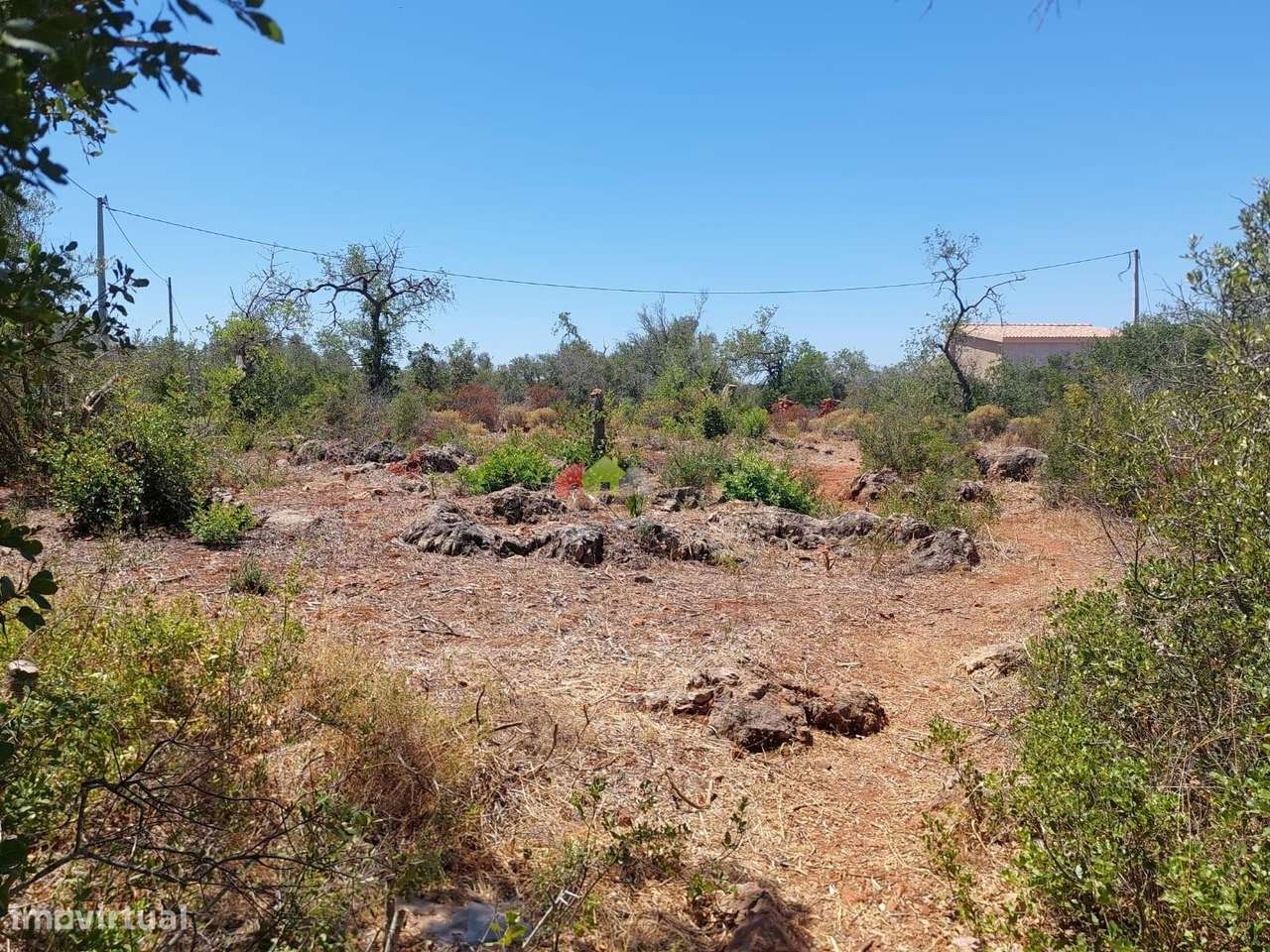 Terreno 12.040m2 com Projecto para Moradia em Silves - Grande imagem: 5/7